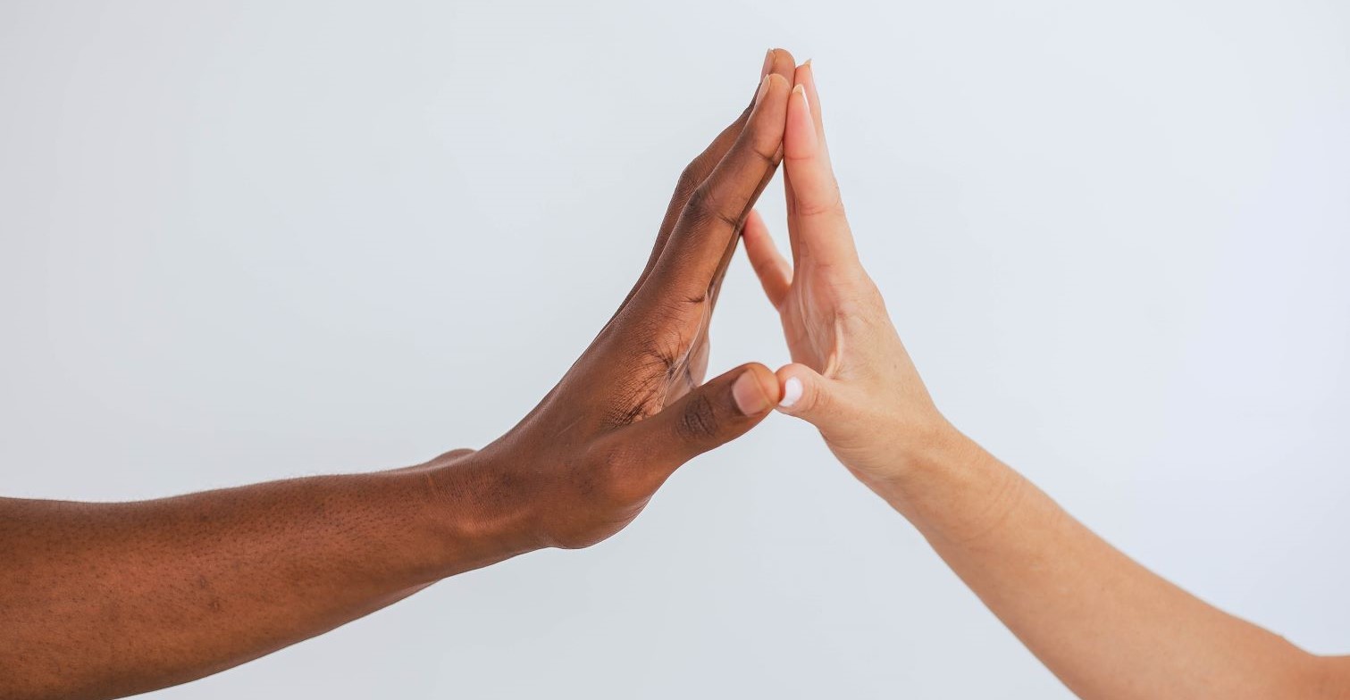 Auf der Fotografie berühren sich die Hand einer Schwarzen Person und die einer weißen Person vor einem weißen Hintergrund.